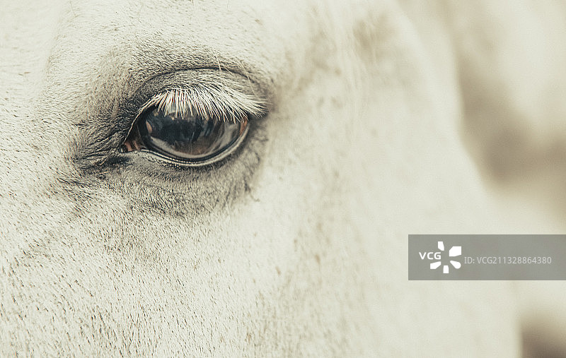 心灵的窗户图片素材