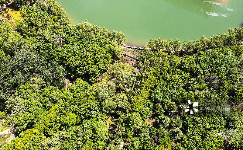 古树苑-河南省-郑州市-惠济区图片素材