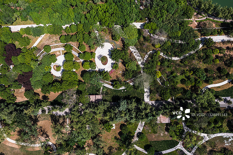 古树苑-河南省-郑州市-惠济区图片素材