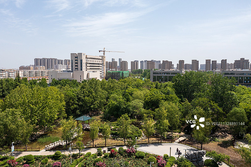 古树苑-河南省-郑州市-惠济区图片素材
