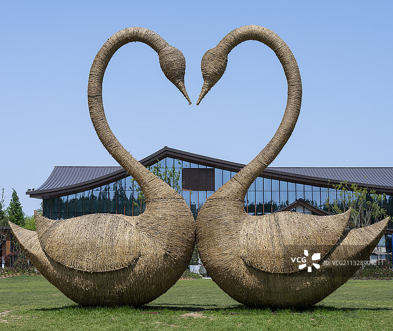 爱心形状的一对天鹅干草草绳草垛户外摆设艺术品图片素材