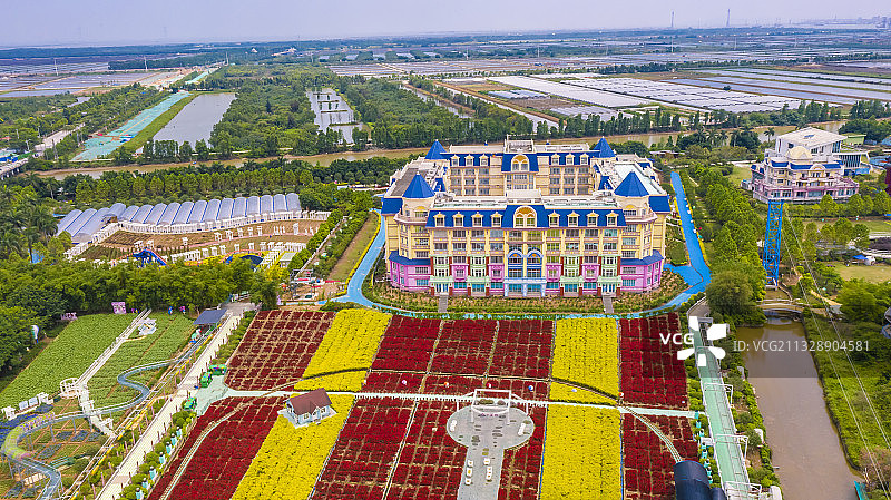 航拍广州南沙百万葵园图片素材