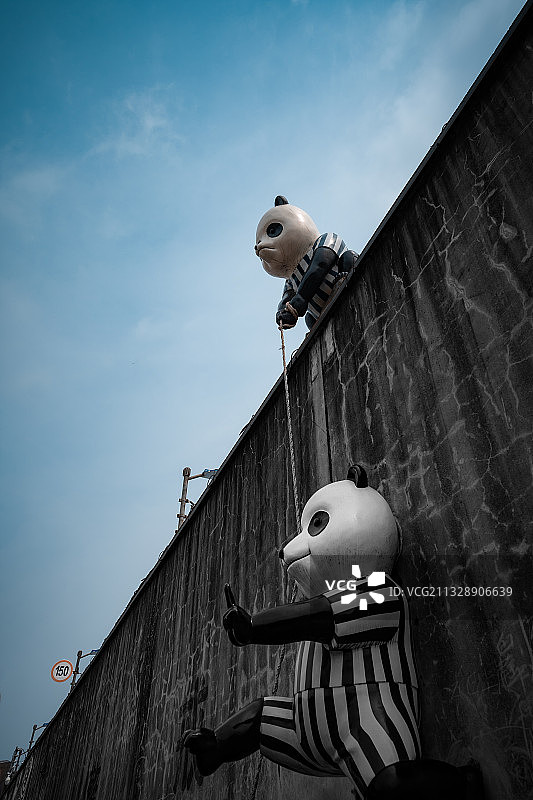 越狱的熊猫图片素材