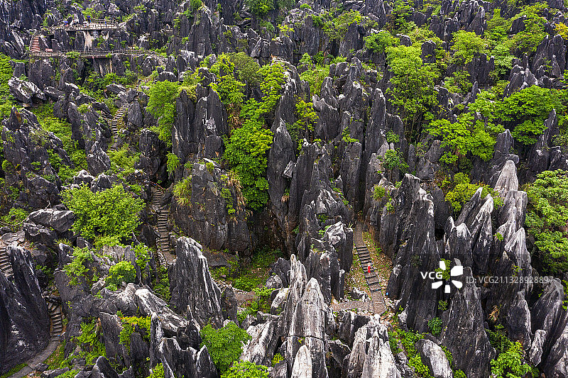 广西贺州玉石林图片素材