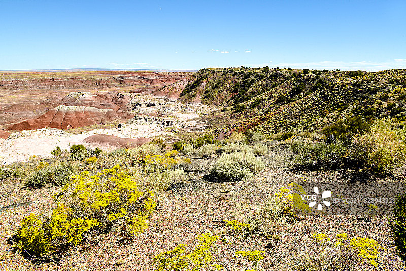 美国，亚利桑那州，化石林国家公园，彩色沙漠图片素材