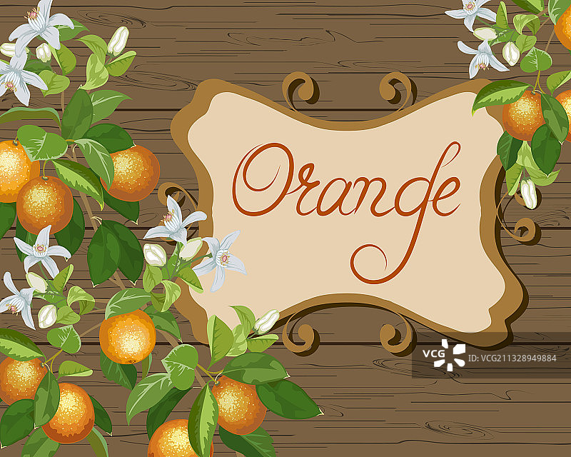 木质背景上的橙色树枝图片素材