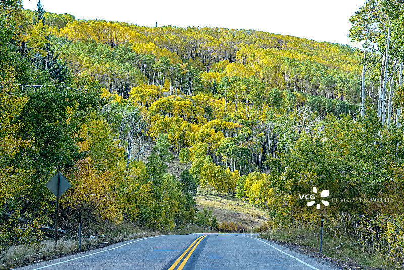 美国，犹他州，公路，秋天，红叶图片素材