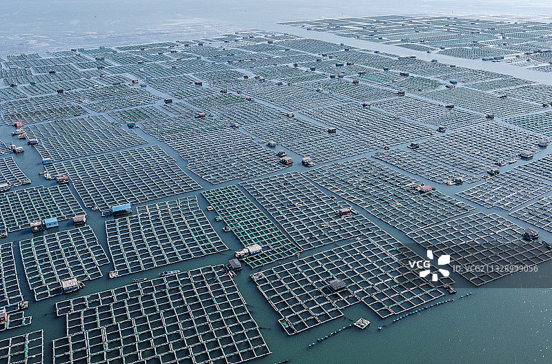 烟台芝罘岛的海水养殖场图片素材