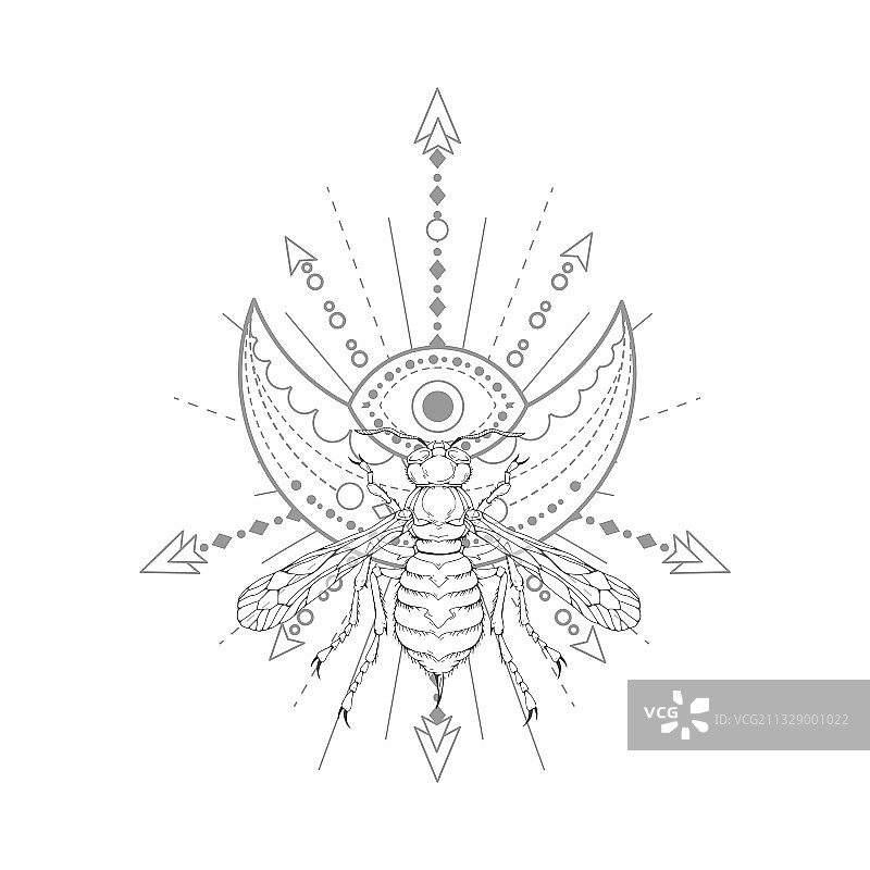 手绘黄蜂与神圣符号设计图片素材