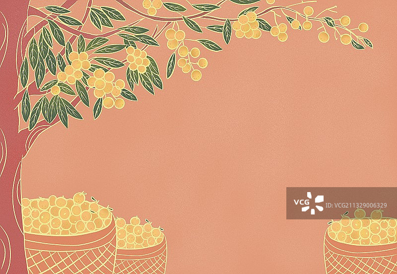 白露,线条画,荔枝树,荔枝,节气,节日,自然美,插画,植物,图片素材