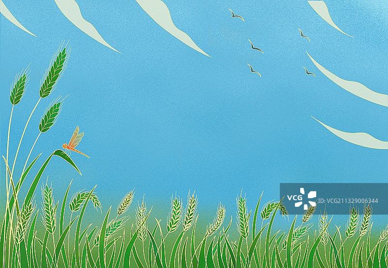 小满,线条风,稻谷,小麦,蜻蜓,农作物,节气,麦穗,季节,图片素材