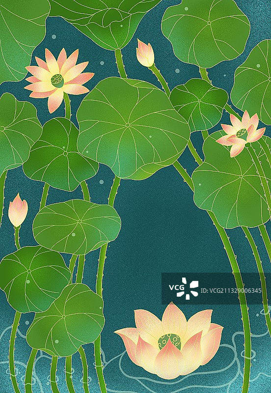 立夏,线条风,处暑,大暑,小暑,夏至,荷叶,荷花,节气,夏天图片素材