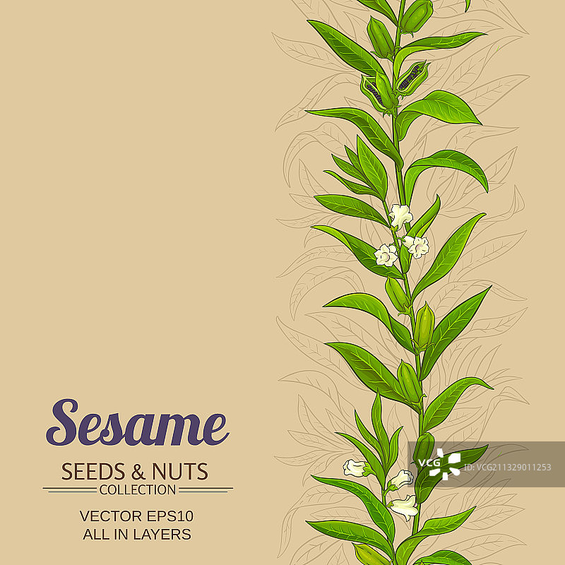 芝麻图案图片素材