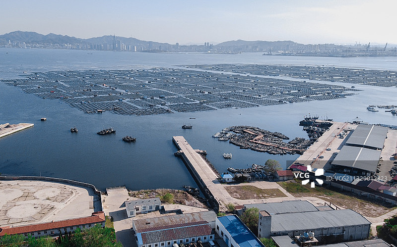 烟台芝罘岛的海水养殖场图片素材