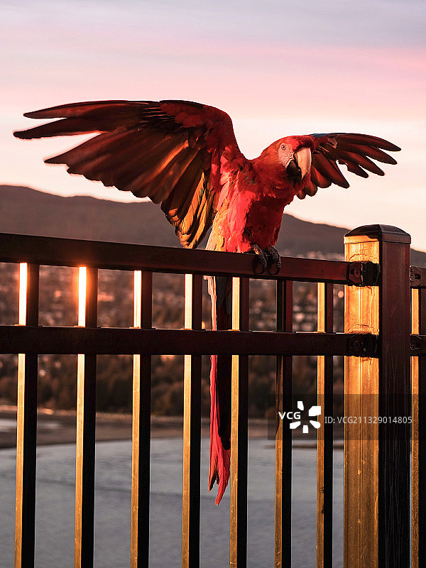 追光而来！图片素材