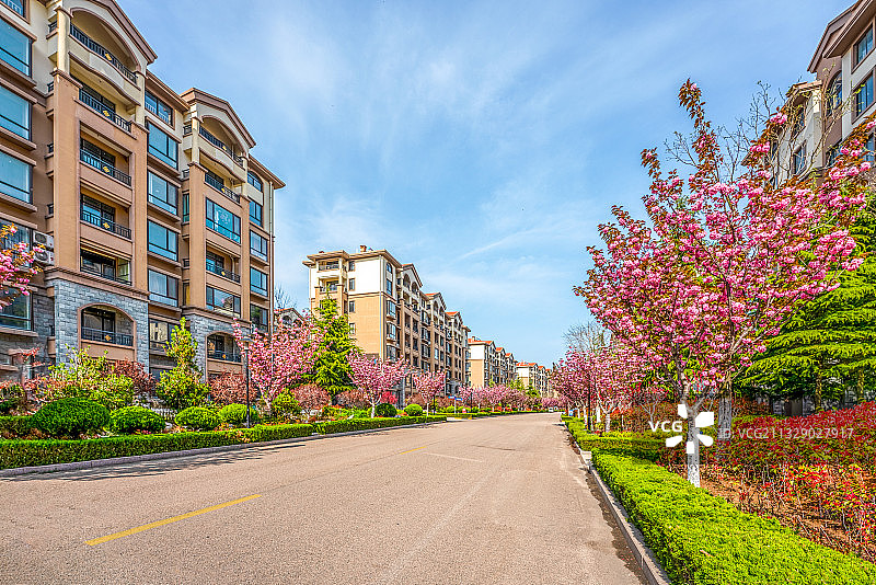 鲜花盛开的居民小区内部道路图片素材