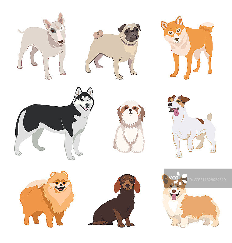卡通狗品种扁平图标合集图片素材