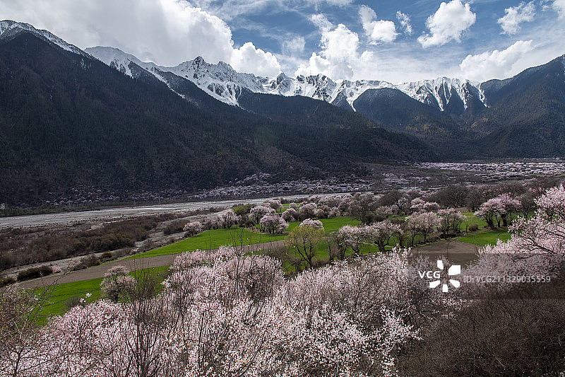 大美桃花谷图片素材