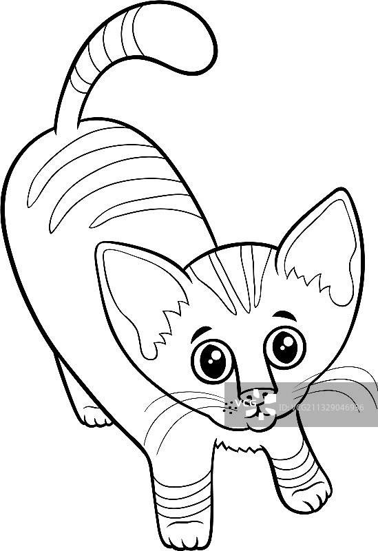 可爱的小猫卡通动物角色图片素材