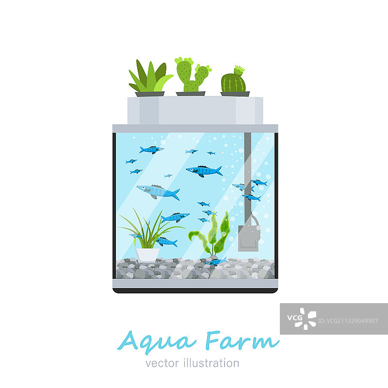 水族箱图片图片素材