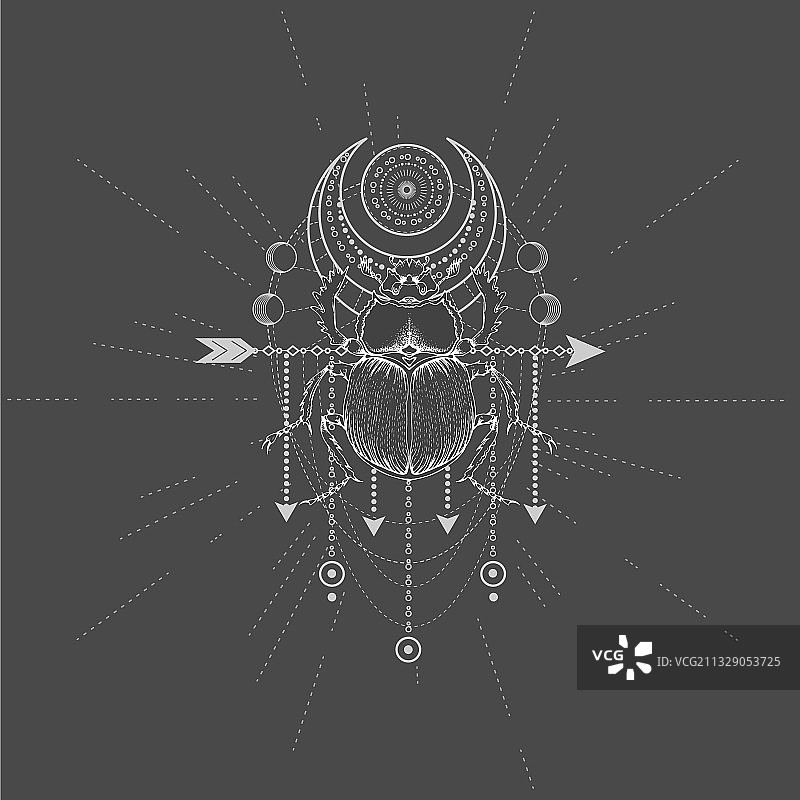 手绘圣甲虫与神圣几何图案图片素材