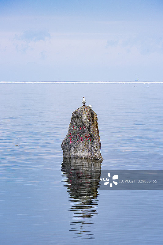 青海湖 石头 海鸥图片素材