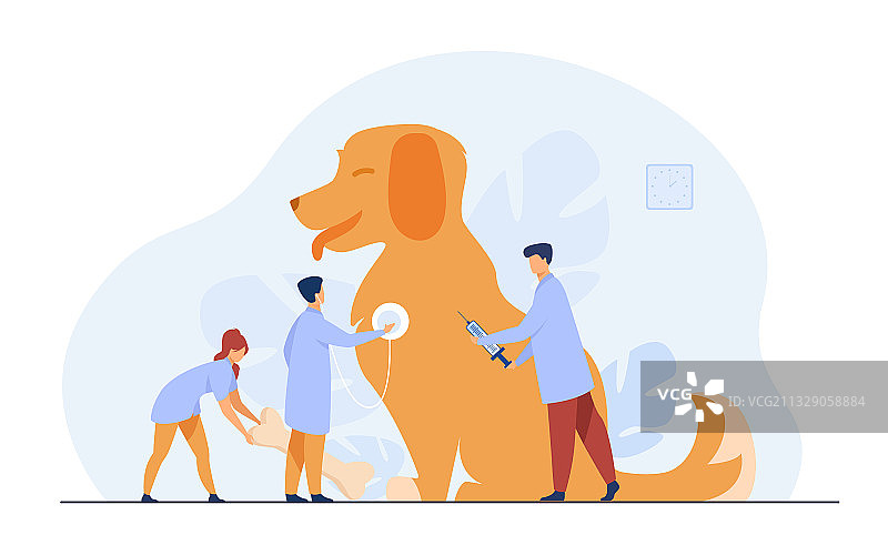 在兽医诊所照顾狗狗的迷你医生图片素材