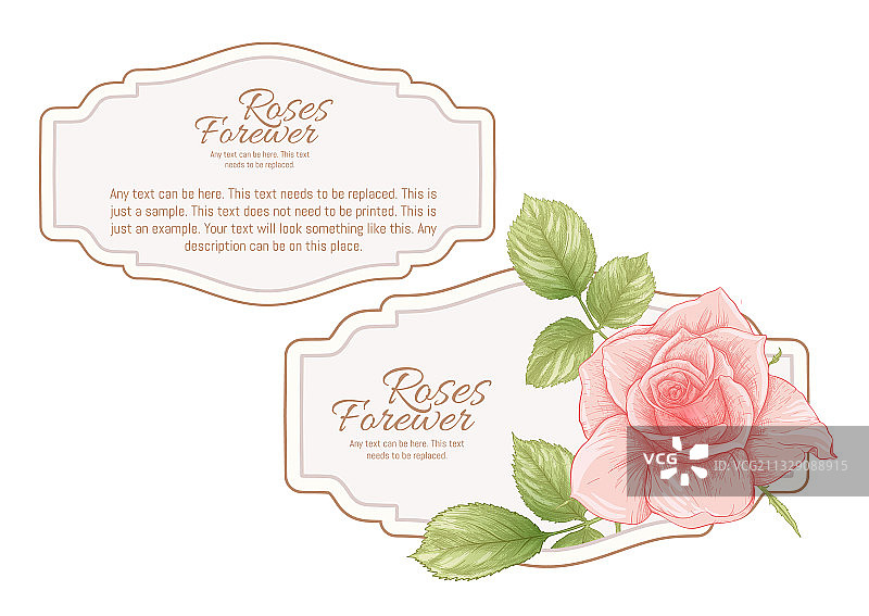 设置产品正面和背面标签图片素材