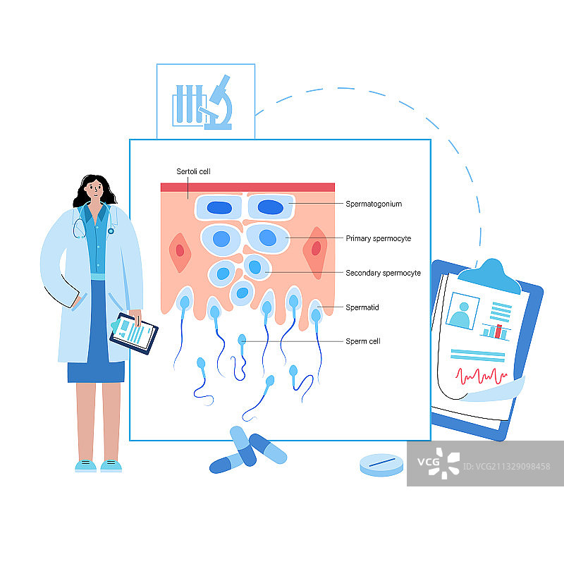 有丝分裂过程概念图片素材