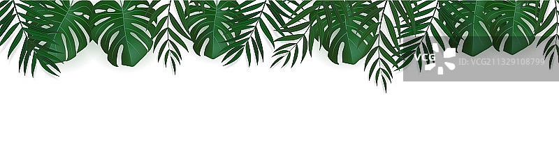 逼真绿色棕榈树叶图片素材