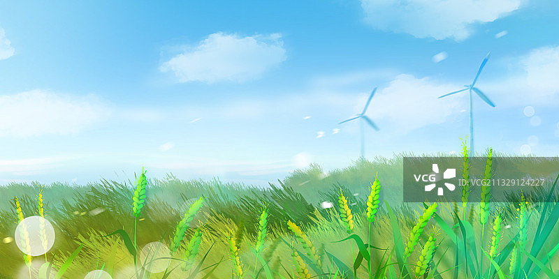 二十四节气插画夏天小满麦子成长丰收图片素材