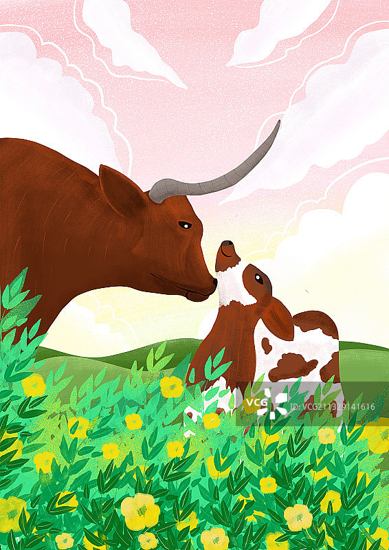 母牛与小牛图片素材