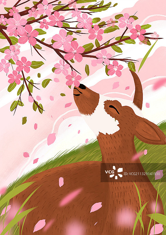 闻花的牛图片素材