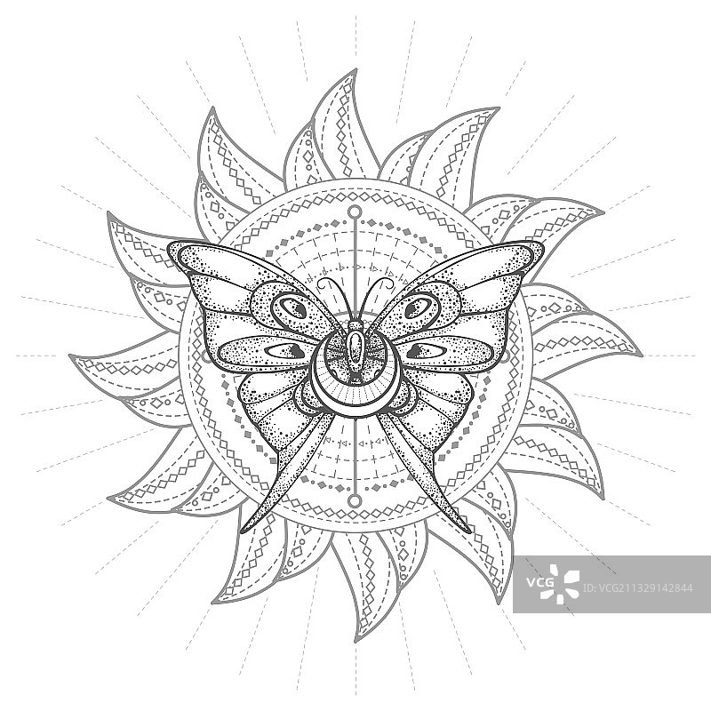 蝴蝶与神圣的象征图片素材