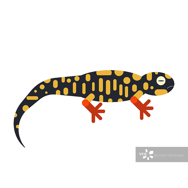 扁平风格的几何图案化蝾螈图标图片素材