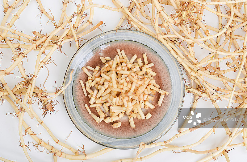 折耳根 鱼腥草图片素材