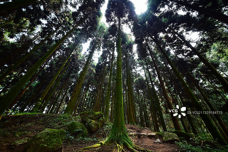 南宝山木梯羌寨羌缘红农家乐 成都图片素材