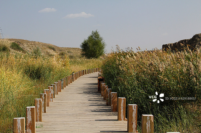 宁夏水洞沟图片素材