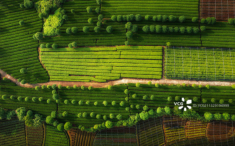 浙江丽水松阳大木山骑行园 航拍光影图片素材