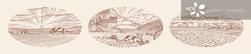 乡村草甸：牛羊点缀的村庄风景图片素材