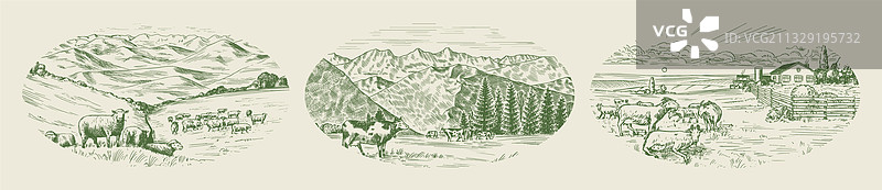 乡村草甸：牛羊点缀的村庄风景图片素材