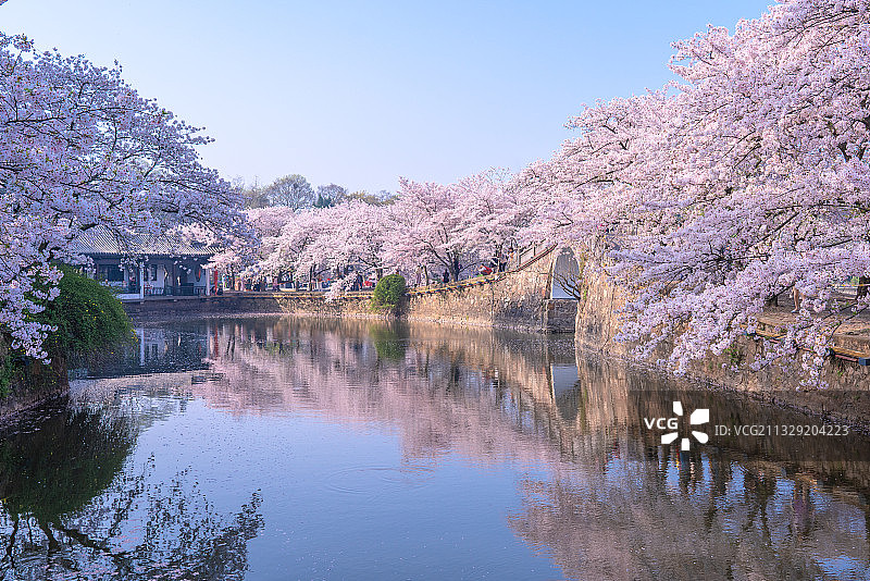 具区胜景-鼋头渚长春花漪图片素材