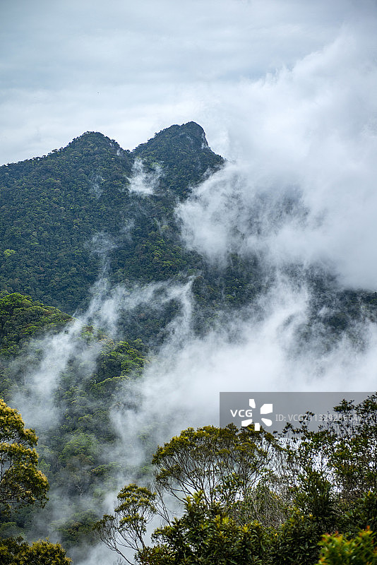 海南风情7045图片素材