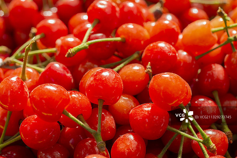 红樱桃图片素材