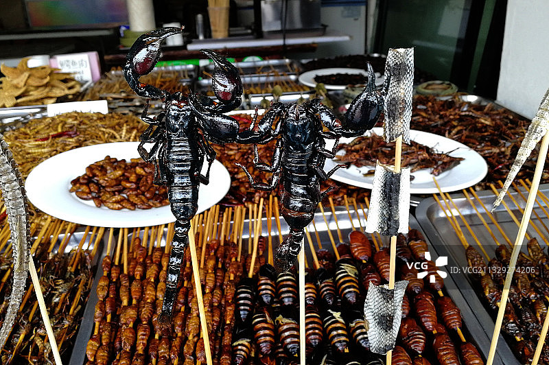 上海朱家角古镇的泰国昆虫宴图片素材