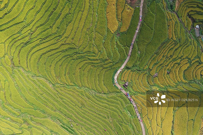 清远连山欧家梯田航拍图片素材
