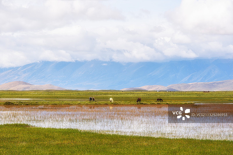 西藏日喀则仲巴湿地图片素材