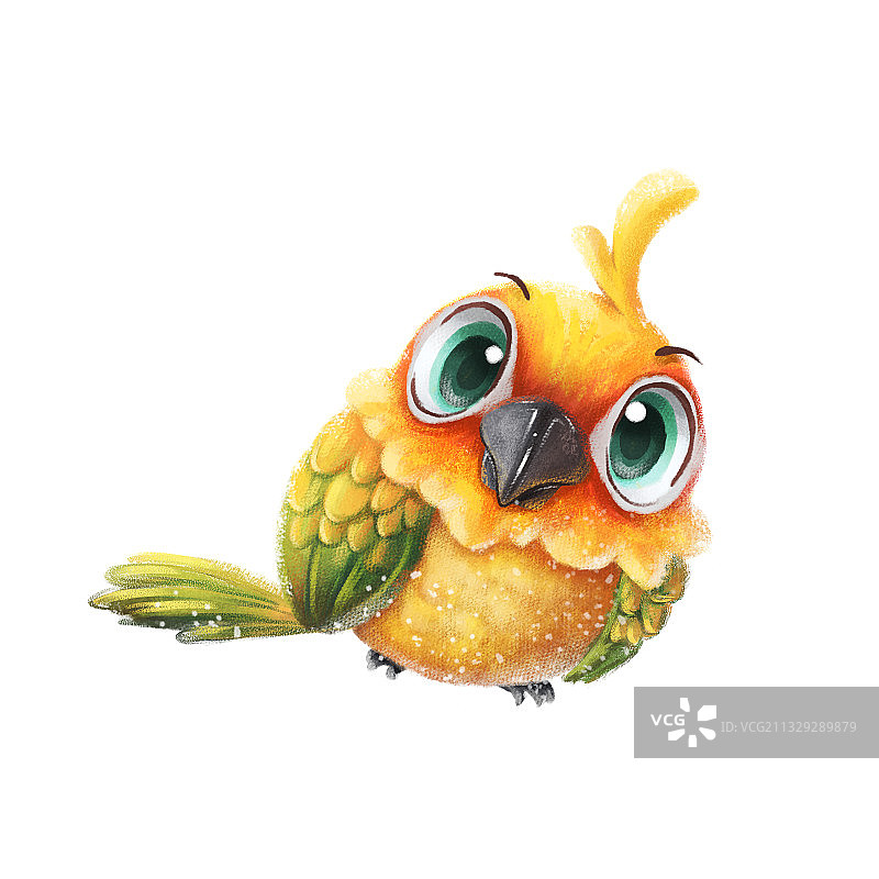 小鸟睁大眼睛看着你图片素材