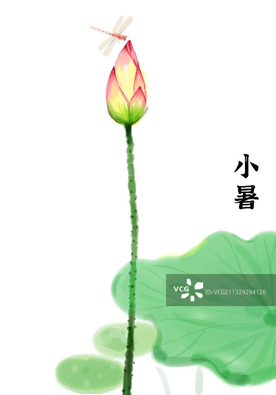 小暑图片素材