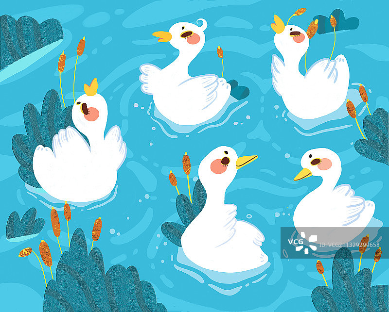 5只小天鹅在水里嬉戏打闹舞蹈图片素材